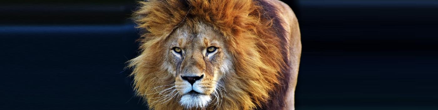 Werkgevers opgelet: Belastingdienst gaat handhaven op werkgevers met zzp-ers