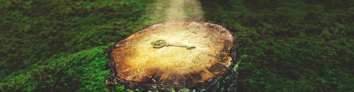 Unlock the secret: geactualiseerd beleid inzage na voornemen boete ge-‘Woo-d’